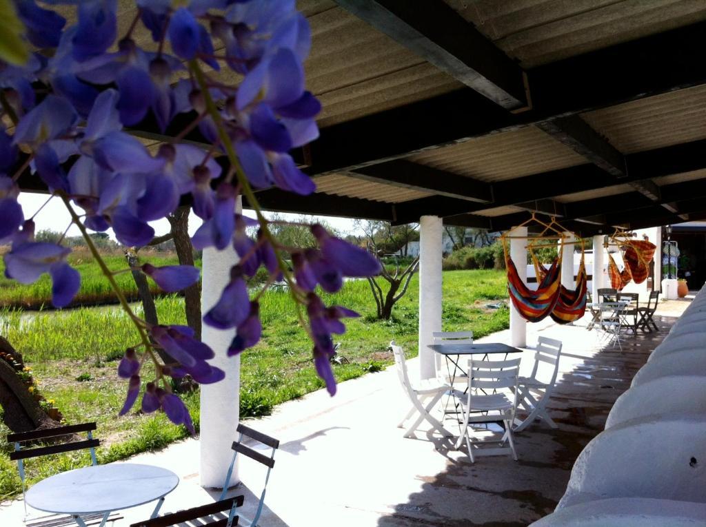Le Maset En Camargue Saintes-Maries-de-la-Mer Buitenkant foto