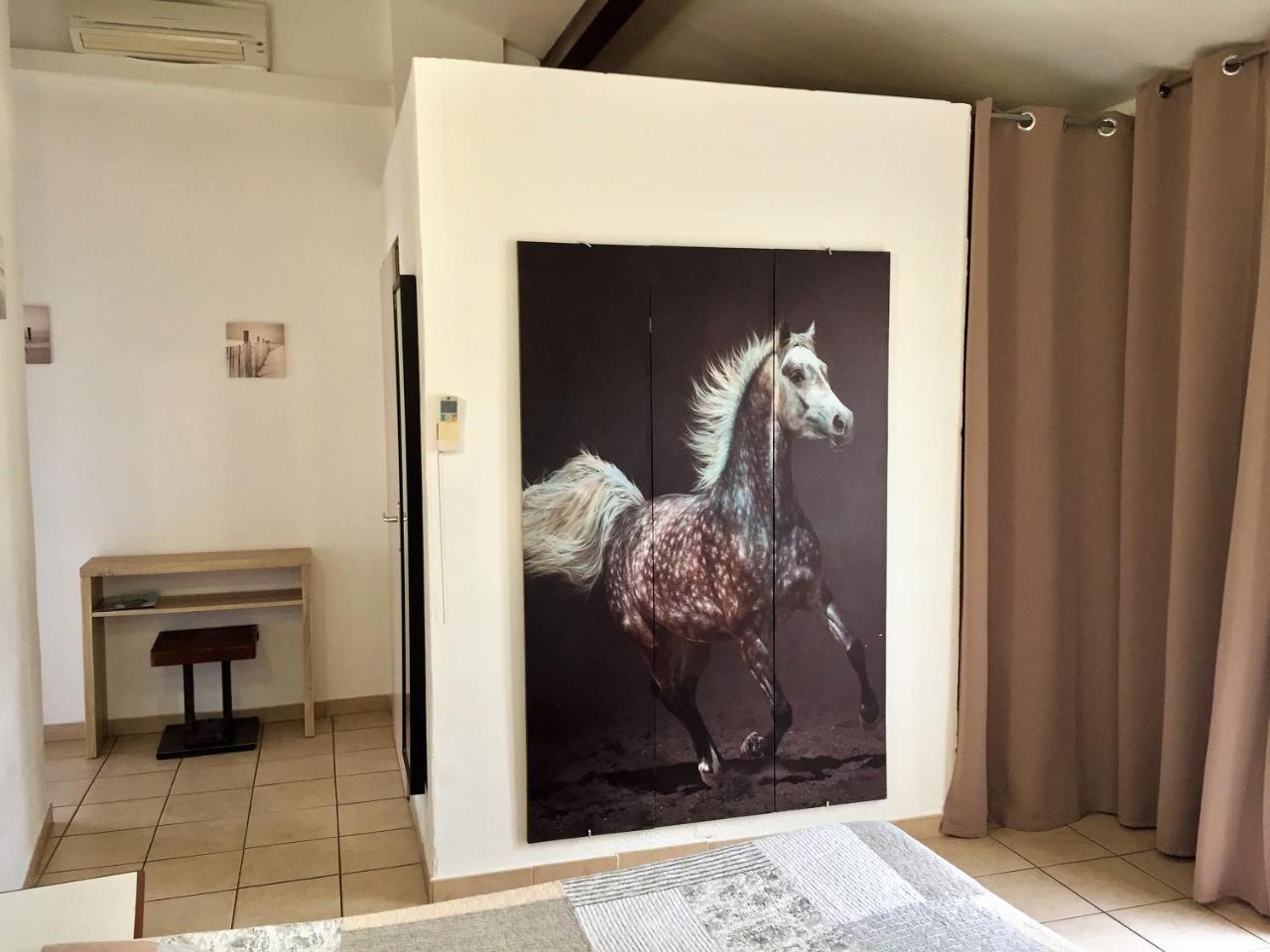Le Maset En Camargue Saintes-Maries-de-la-Mer Buitenkant foto